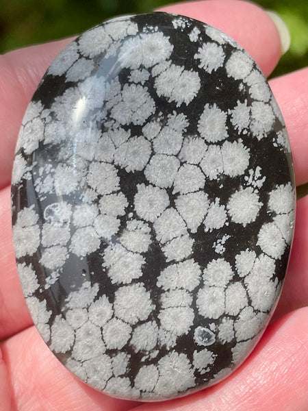 Snowflake Obsidian Palm Stone - Morganna’s Treasures