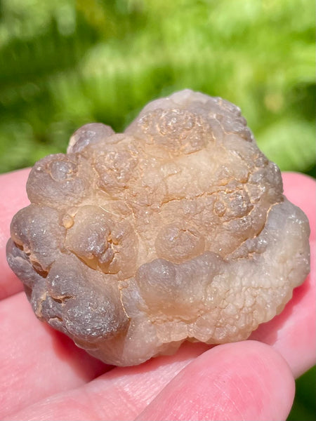 Botroyoidal Chalcedony Palm Stone - Morganna’s Treasures 