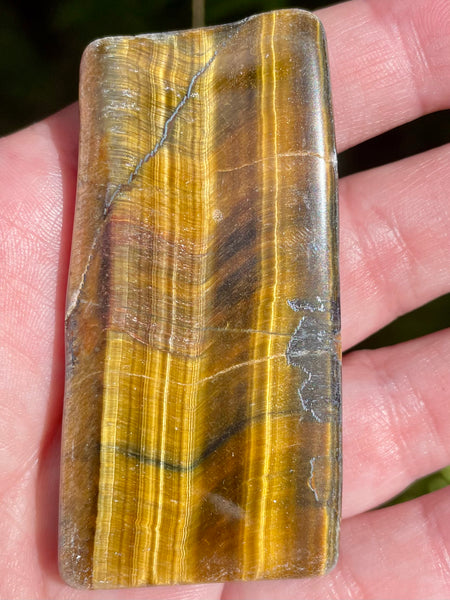 Gold Tigers Eye Palm Stone from Africa - Morganna’s Treasures