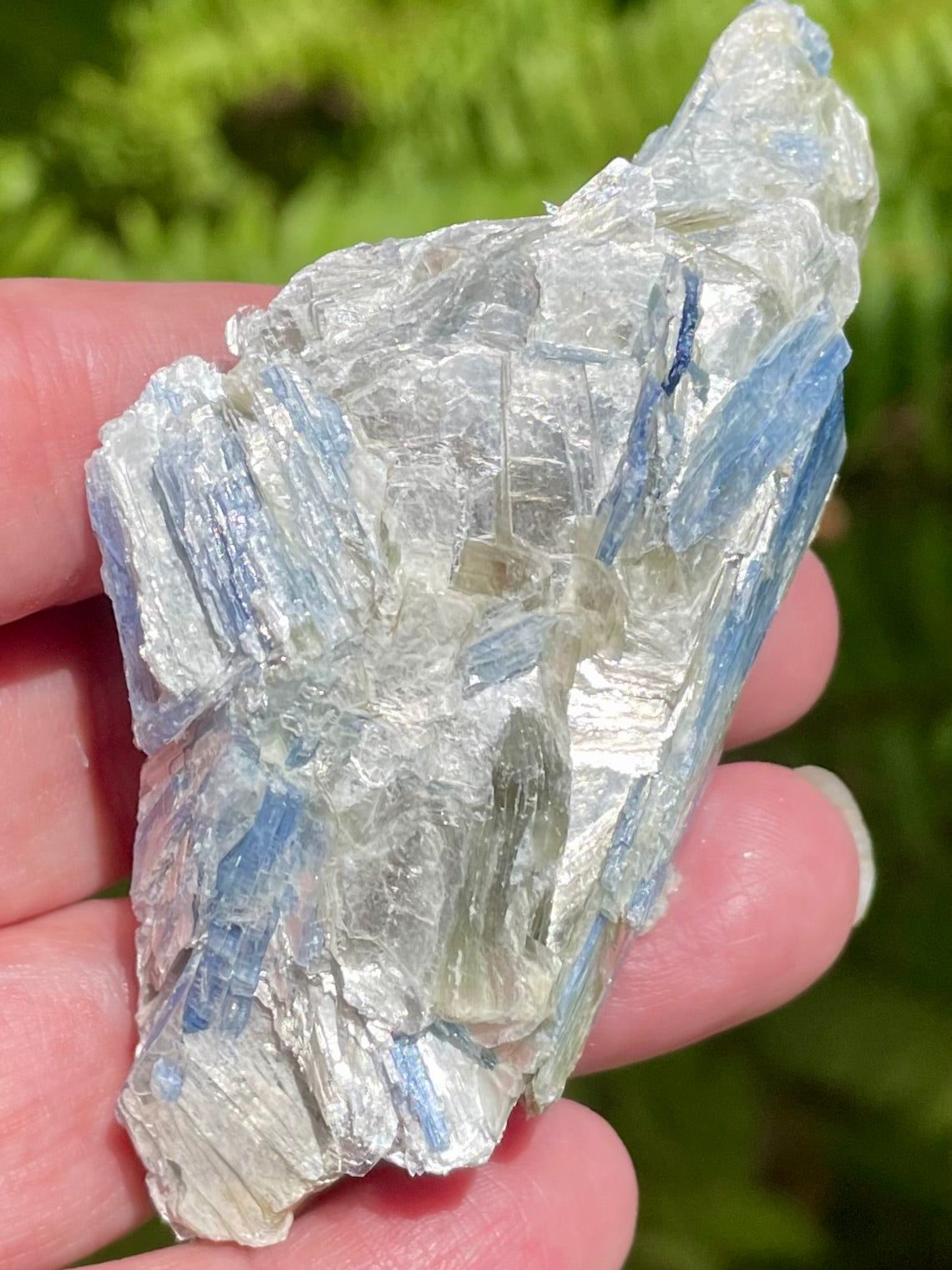 Rough Blue Kyanite - Morganna’s Treasures 