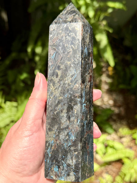 Stunning Large Astrophyllite Generator