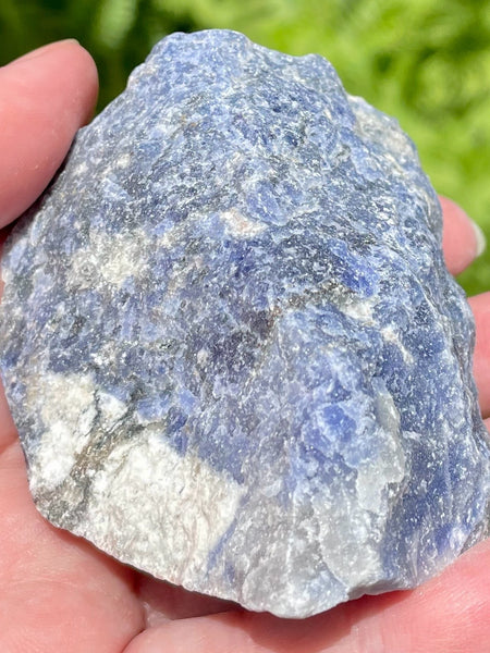 Large Rough Sodalite - Morganna’s Treasures 