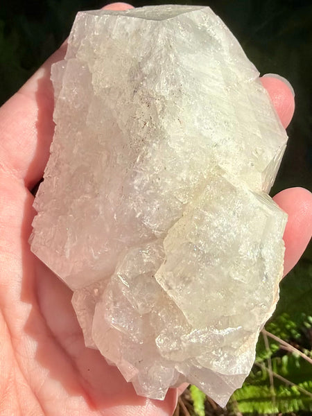 Large Apophyllite Cluster - Morganna’s Treasures