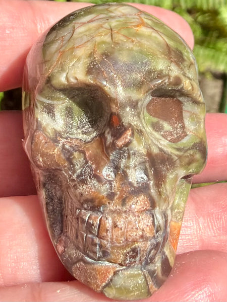 Money Agate Skull - Morganna’s Treasures