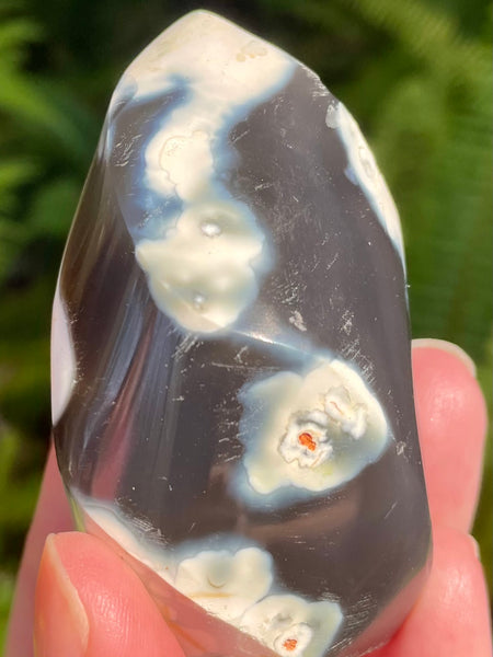 Orca Agate Flame - Morganna’s Treasures