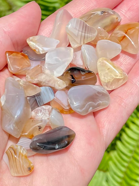 Small Flower Agate Tumbled Stones - Morganna’s Treasures 