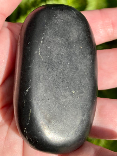 Large Shungite Palm Stones - Morganna’s Treasures 