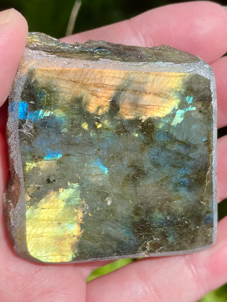 Gorgeous Labradorite Slab - Morganna’s Treasures