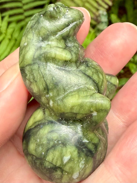 Serpentine Frog