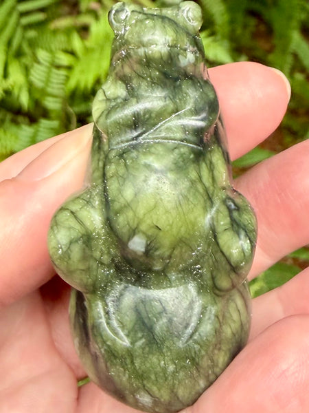Serpentine Frog