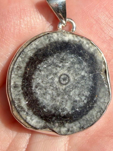 Black Horn Coral Pendant
