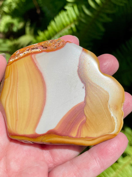 Rhyolite Palm Stone - Morganna’s Treasures 