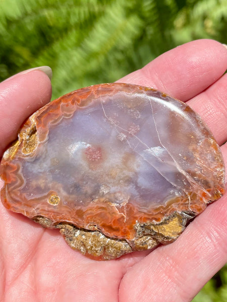 Candy Agate Palm Stone - Morganna’s Treasures 