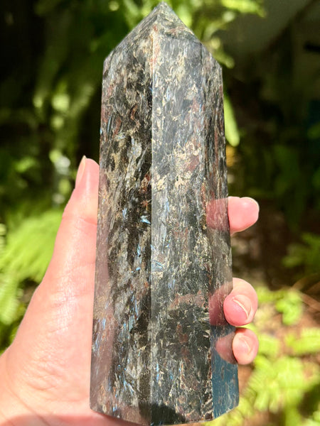 Stunning Large Astrophyllite Generator
