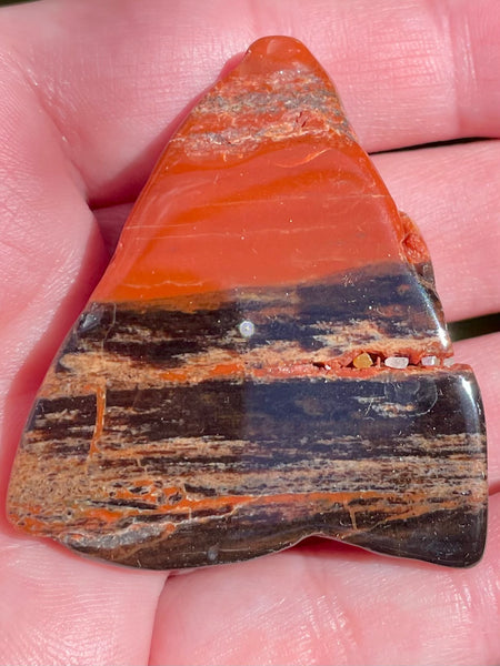 Petrified Wood Palm Stone - Morganna’s Treasures