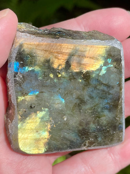 Gorgeous Labradorite Slab - Morganna’s Treasures
