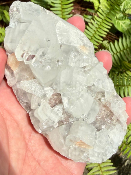 Apophyllite Cluster