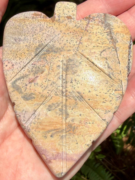 Picture Jasper Leaf