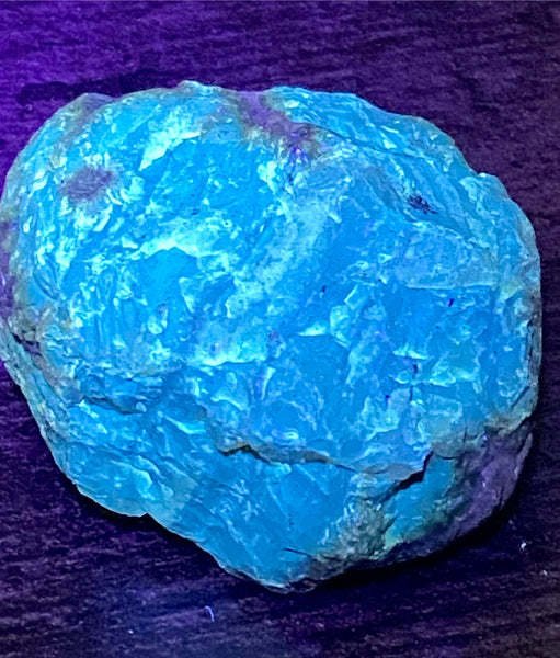 Fluorescent Blue Amber Palm Stone - Morganna’s Treasures 