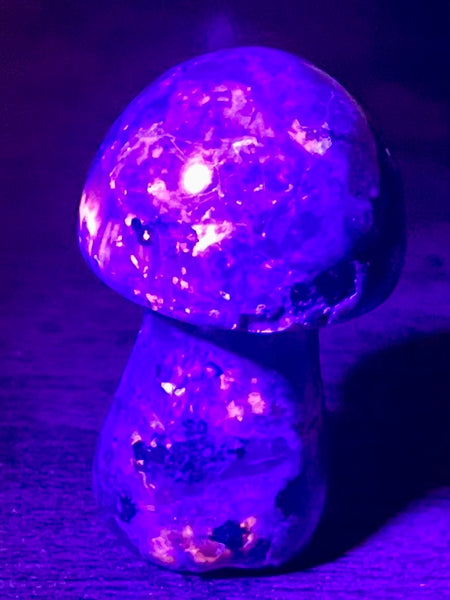 Small Yooperlite (Fluorescent Sodalite) Mushroom