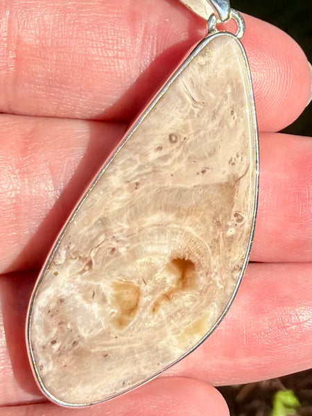 Petrified Wood Slice Pendant