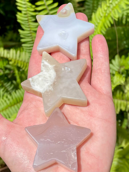 Flower Agate Star Palm Stones - Morganna’s Treasures 