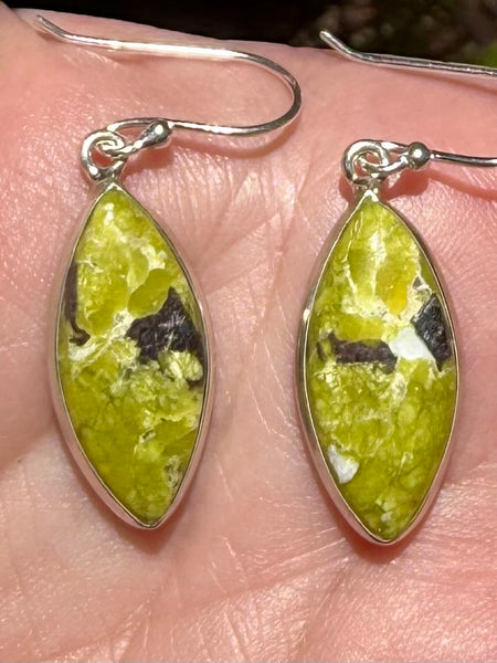 Lizardite Earrings - Morganna’s Treasures