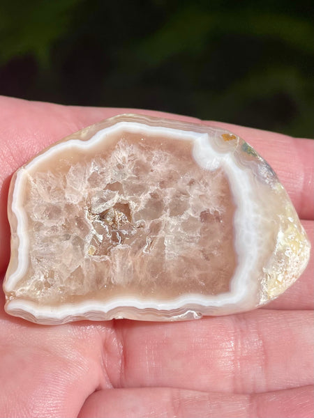Agate Palm Stone - Morganna’s Treasures