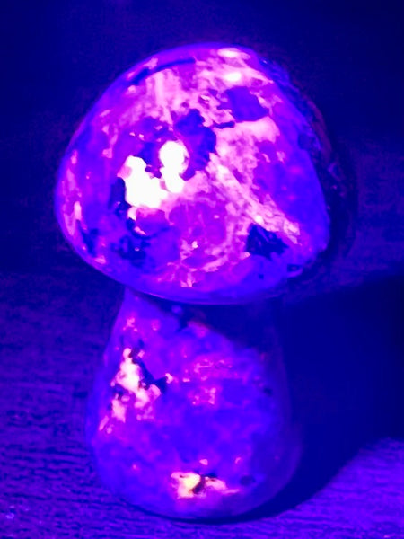 Small Yooperlite (Fluorescent Sodalite) Mushroom