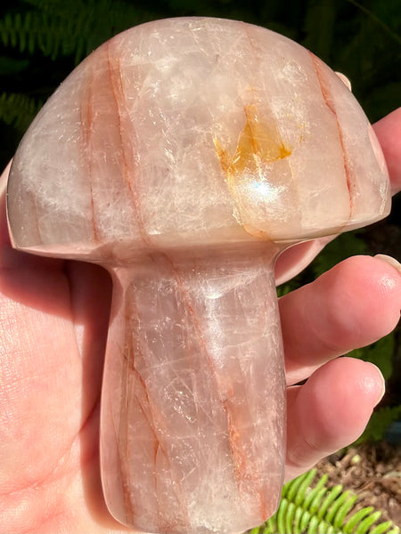 Beautiful Hematoid Quartz Mushroom - Morganna’s Treasures