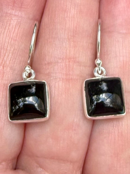 Black Onyx Earrings