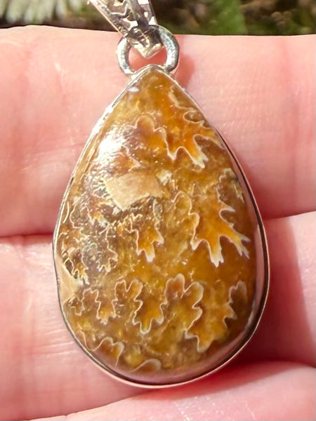 Sutured Ammonite Pendant - Morganna’s Treasures