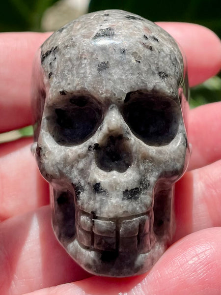 Carved Yooperlite (Fluorescent Sodalite)  Skull - Morganna’s Treasures 