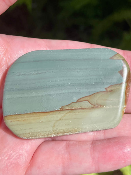 Succor Creek Picture Jasper Palm Stone - Morganna’s Treasures