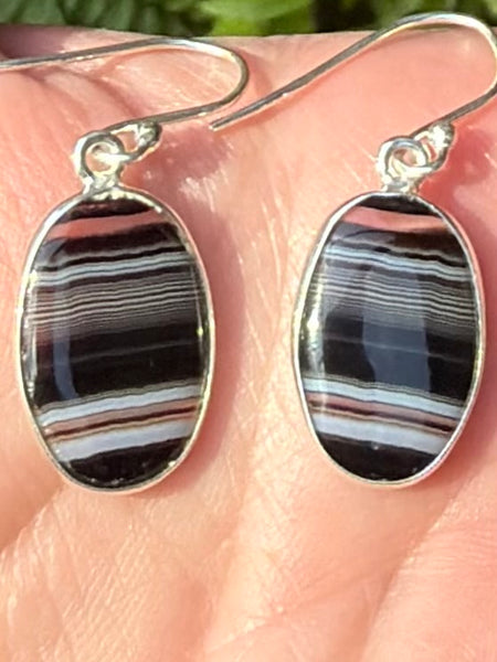 Botswana Agate Earrings - Morganna’s Treasures