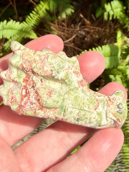 Money Agate Dragon - Morganna’s Treasures