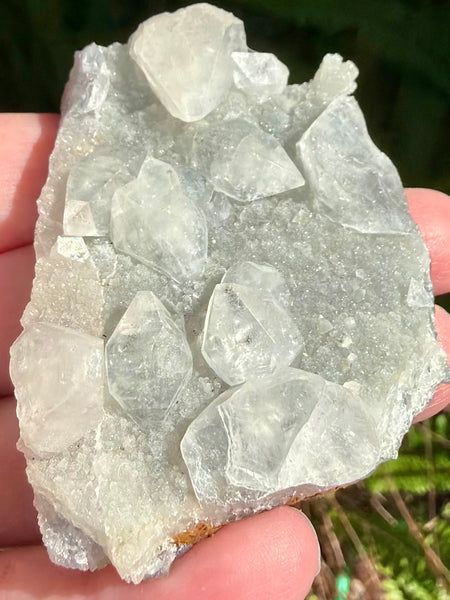 Apophyllite Cluster - Morganna’s Treasures