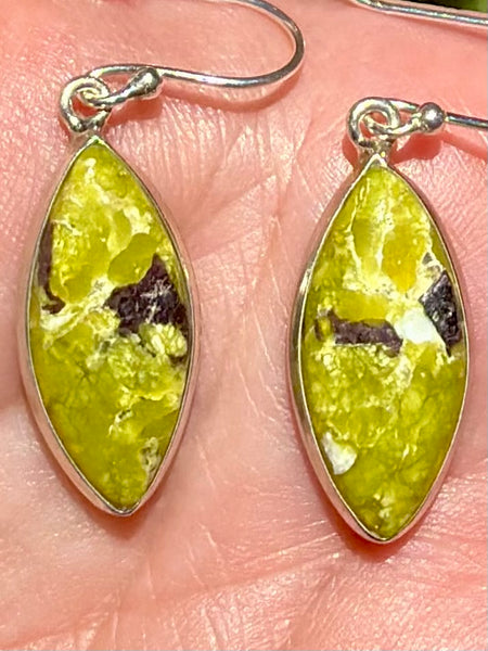 Lizardite Earrings - Morganna’s Treasures