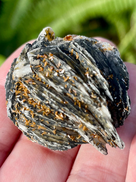 Vanadinite on Barite Crystal Cluster - Morganna’s Treasures 