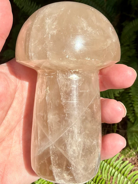 Gorgeous Smoky Quartz Mushroom - Morganna’s Treasures