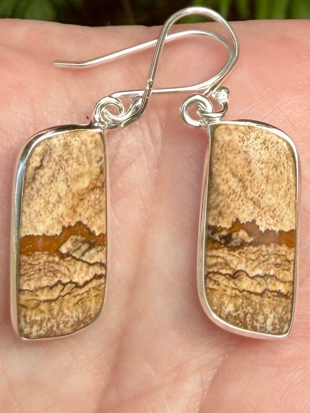 Picture Jasper Earrings