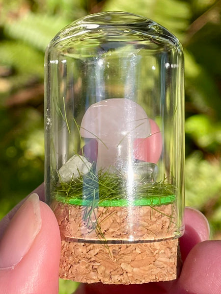 Rose Quartz Mushroom Terrarium