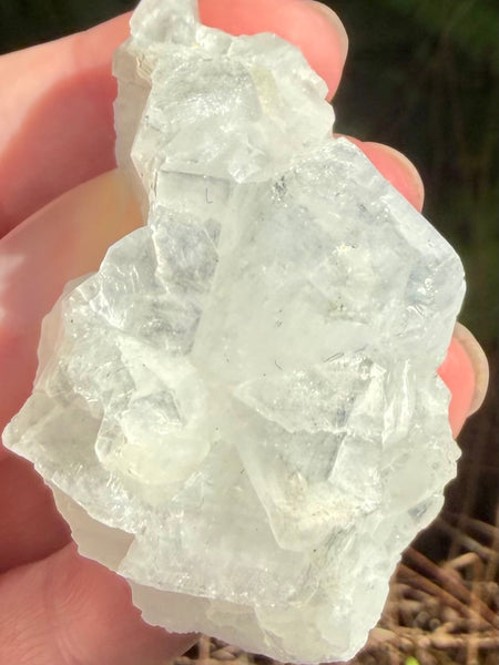 Apophyllite Cluster - Morganna’s Treasures