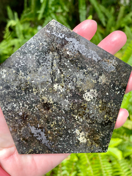 Nuummite Pentagon Charging Plate - Morganna’s Treasures