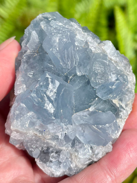 Large Celestite Cluster - Morganna’s Treasures 