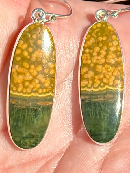 Ocean Jasper Earrings - Morganna’s Treasures
