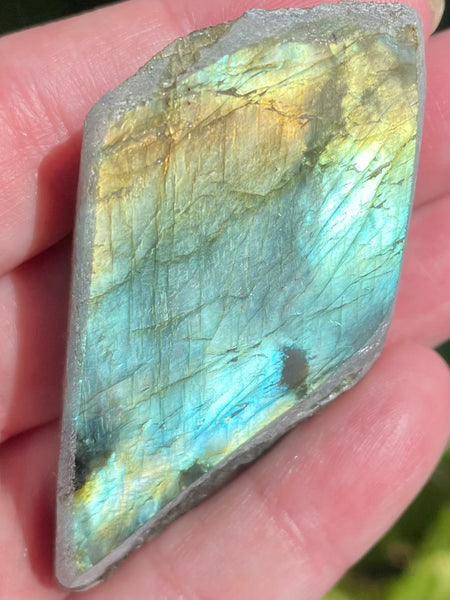 Gorgeous Labradorite Slab - Morganna’s Treasures