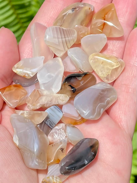 Small Flower Agate Tumbled Stones - Morganna’s Treasures 