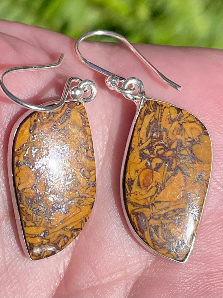 Marium Jasper Earrings - Morganna’s Treasures 