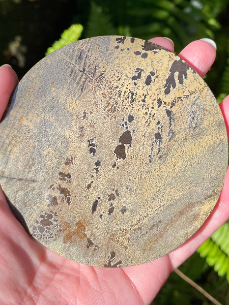 Picture Jasper Charging Plate
